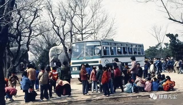 苏南京鹤立鸡群的金陵饭店是南京人骄傲瓦力游戏试玩老照片：1983年的江(图3)